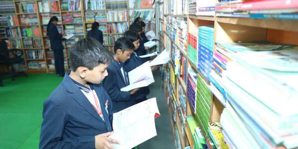 library.JPG