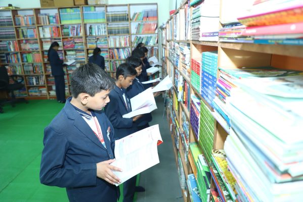 library.JPG